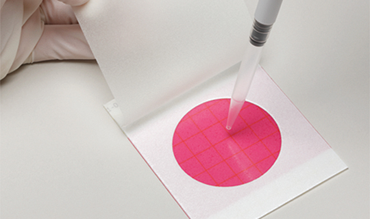 Petrifilm microbiology plate being used for indicator testing.