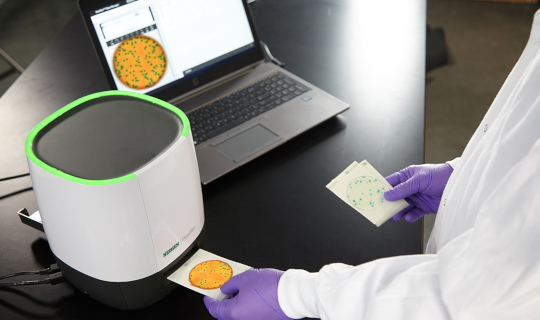 A food safety lab technician feeding Petrifilm microbiology plates into Petrifilm Plate Reader Advanced.