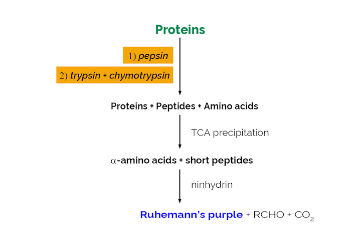 Megazyme_Scheme-K-PDCAAS-ProdIm.png