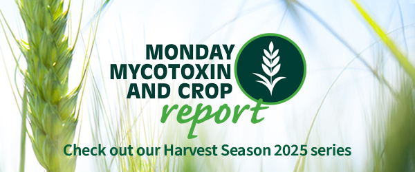 mmcr logo with description to check out series